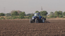 Superficies de siembra dependerá de los volúmenes de agua que asigne la CONAGUA