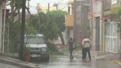 Árboles caídos y destrozos en calles