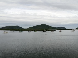 Casi 800 barcos zarparon desde Topolobampo