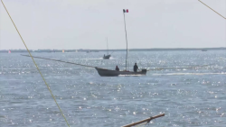 Implementarán código de conducta, para detener pesca ilegal