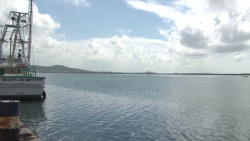 Muelle del parque Bonfil, luce desolado