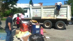 Intensifican acciones para combatir el mosco vector del dengue