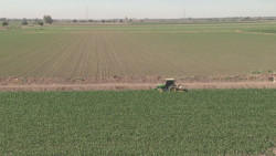 Productores agrícolas sin acceso a los créditos para iniciar las siembras
