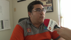 Baja densidad del mosco vector del dengue en Mazatlán