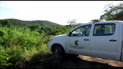 Sin identificar 39 cuerpos en Mazatlán