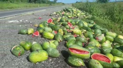 Localizan tiradero de sandías