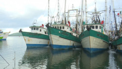 Abren el puerto de Topolobampo a la navegación