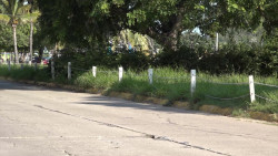Crece la maleza y con ello el descuido en Cerritos