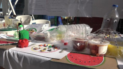 Celebra Mazatlán el Día Mundial de la Alimentación
