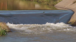 Falta de agua en presas provocará daños a las finanzas de los módulos de riego