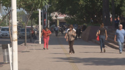 No dejarnos vencer por el miedo: vocero de la diócesis de Culiacán