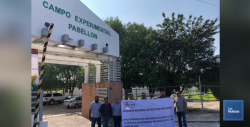 Investigadores del INIFAP emplazan a huelga para el 18 de noviembre; reciben parte del pago