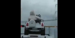 VIDEO: Padres llevan a sus hijos pequeños en el techo de su automóvil