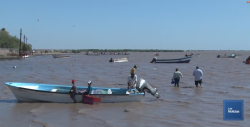 Ha disminuido la pesca ribereña de camarón