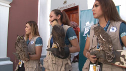 Mazatlán sede del 36 Congreso AZCARM 2019