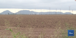 Labores de preparación de terreno para siembra, tienen serio retraso