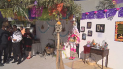 Tapanco una tradición de la Cultura Yoreme