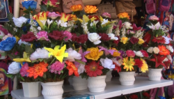 Comienza la venta de flores de papel y plástico en la Juárez