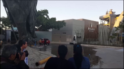 Se comprometen a reparar tiburonario