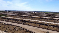 No hay impactos económicos por la pérdida de la acreditación al estatus sanitario para Sinaloa