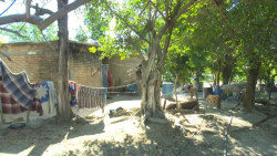 SEDESO sigue apoyando a familias desplazadas de la zona serrana
