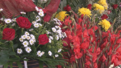 Operativo de PROPECO por el día de muertos