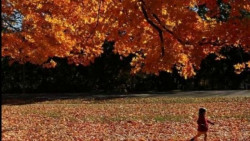 Cambio de estado de ánimo en los días de otoño