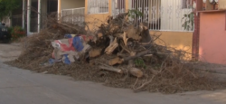 A un mes de “Narda”, vecinos de Col. Villa Galaxia continúan con escombros