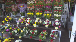 En este 2 de noviembre los arreglos florales no pasan de moda