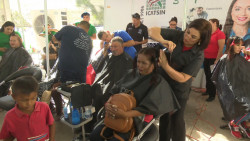 Realiza ICATSIN importantes acciones en la jornadas puro Sinaloa