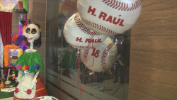 Altar de muertos a un aficionado del béisbol