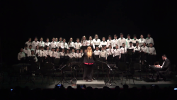 Velada musical con causa