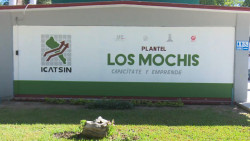 ICATSIN cerrara el año con buenos índices