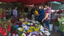 Regular venta de flores en dia de muertos