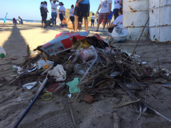 Limpian playas y retiran miles de colillas de cigarro