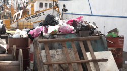 Mucha basura en el muelle del parque Bonfil