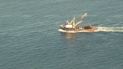 Colapsada la pesca en México