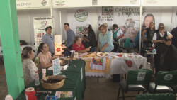 Jornada Puro Sinaloa este jueves en León Fonseca, Guasave