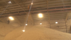 Implicaciones en el precio de los alimentos de no reasignarse mayor Presupuesto al Campo