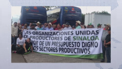 Productores agrícolas de Sinaloa salen rumbo a la Ciudad de México en busca de mejor presupuesto al campo
