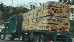 Embarque y desembarque de mercancía, reactiva a estibadores