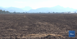 Crítica la situación en el Valle del Mayo para la agricultura