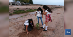 Realizan campaña ecológica en Villa Juárez