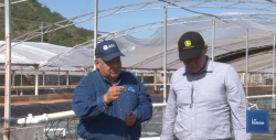 Otorgarán a Castro Cossío Honoris Causa