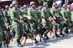 Atención, cierre de calles por desfile militar