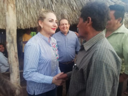 Levantan cerco sanitario tras mortandad de peces en el sur de Sinaloa
