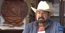 Arrancó en los Valles del Yaqui y Mayo, la siembra de trigo