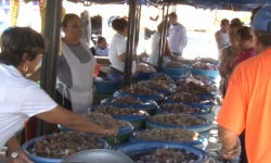 Repunta más el turismo “curioso” que consumidor en “Changueras”