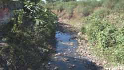 Piden que limpien el arroyo en El Ranchito