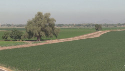 Plantearán productores de Sinaloa bancarizar los apoyos y programas del campo